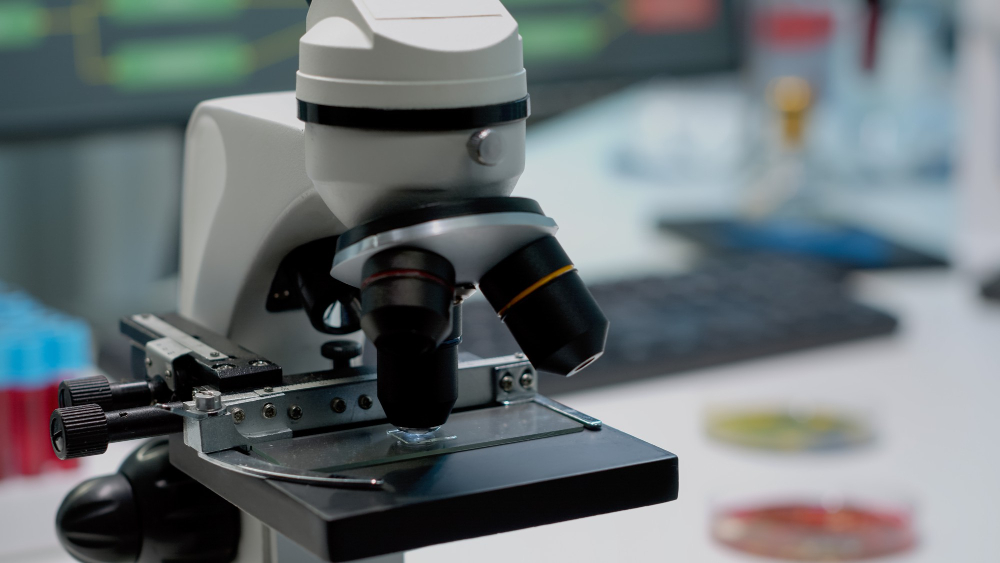 SEM-EDS Analysis: How Researchers Identify Elements on Material Surfaces
