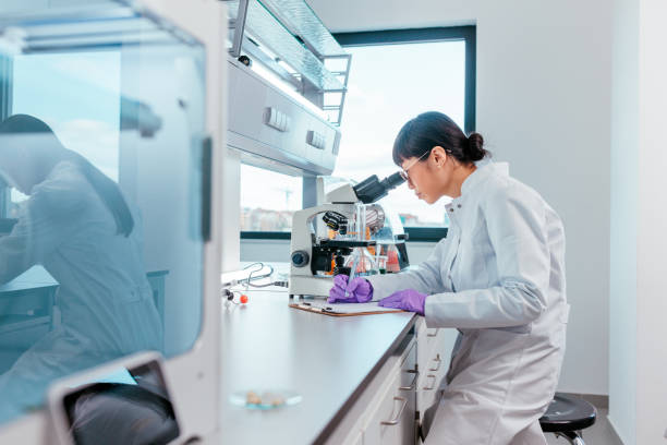 XRF Analysis: How Laboratories Determine the Elemental Composition of Materials